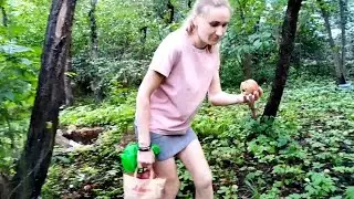 Нашли у дома заброшеный Яблоневый Сад.Насобирали целую ванную яблок