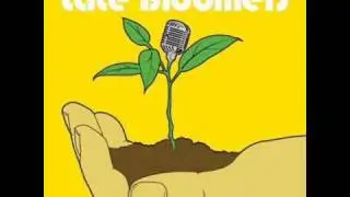 Late Bloomers- Lisa
