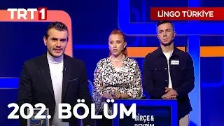 Lingo Türkiye 202. Bölüm