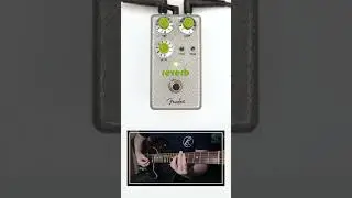 Fender - Hammertone Reverb  #guitar #reverb  #guitarist