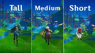 Is There a Difference in The Diving Speed of Each Character (Male vs Female)