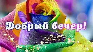 💗НОВИНКА! ДОБРЫЙ ВЕЧЕР! НИКОГДА НЕ ГОВОРИ НИ КОГДА! ⭕ЗДЕСЬ КАЖДОЕ СЛОВО ДОСТОЙНО УВАЖЕНИЯ ✨