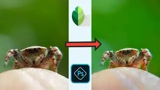 Macro Photography: Best Macro Photo Editing Tutorial On Android