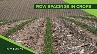 Farm Basics 