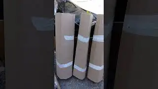 я фанат Авито, почти все мои зелёные покупки с Авито #дача#сад #огород#цветы #барбарисы#покупкаавито