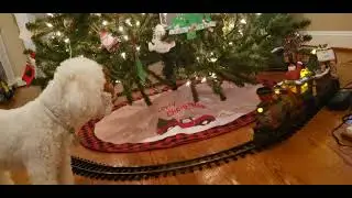 Frosty & the Christmas Train