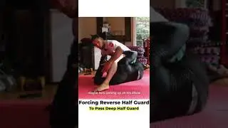 The Best Deep Half Guard Pass