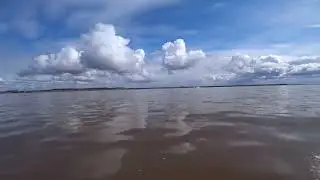 Охота на Белом море
