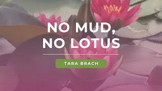 No Mud, No Lotus: Tara Brach on Finding Freedom in Life's Challenges
