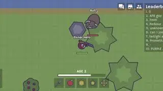 dev.moomoo.io, but I died to 2 bulls