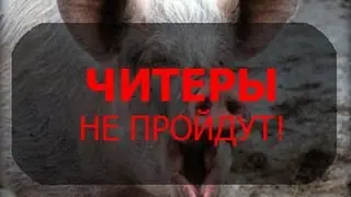 Разоблачение читера Sibban4!