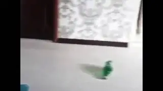 Брат не узнал брата после трапезны))))