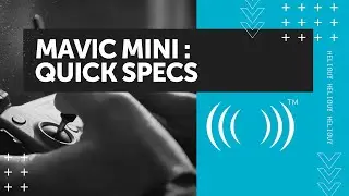Mavic Mini DJI Product Specifics: Ultralight & Portable Drone Under 250g (2020)