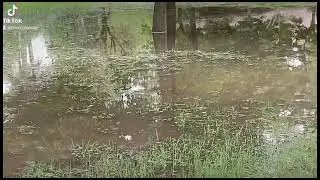 # lago nel Giardino