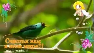 Чарующая мелодия природы.  THE CHARMING MELODY OF NATURE  🌺🌺🌺