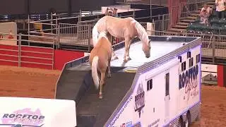 A Dave Manchon and Rooftop Express production presents Night of the Horse (NOTH) promo