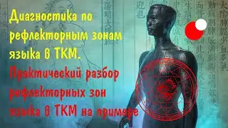 Диагностика по рефлекторным зонам языка в ТКМ.  Практический разбор рефлекторных зон языка в ТКМ.