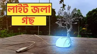 Wire Tree With RGB Lighting | ঘৰত বনালো‌ এজোপা সৰু wire গছ।
