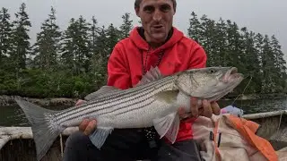 I Caught My First Striped bass!