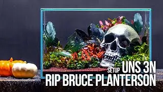 UNS 3N Nano Terrarium Tutorial With Emersed Aquatic Plants Like Crypts & Buce