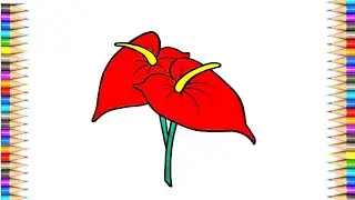 Anthurium Flower Drawing || How to Draw Anthurium Flower Step by Step || #anthuriumflower..