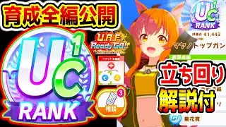 【ウマ娘】『UC1育成 立ち回り解説付き 思考解説』育成のコツを言語化 参考になる部分を取り入れてね！デッキも強いので！ UAF育成法 競技Lv【ウマ娘プリティーダービー 新シナリオ 引換券神 最強