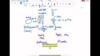 How I Memorized DNA Replication in 6 Minutes Using This Story! 