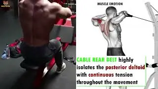 Cable rear delt #shorts