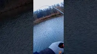 Хорошая села🤔 #fishing #fish #fishingvideo #рыбалка #pike #shimano #pikefishing #киев #украина