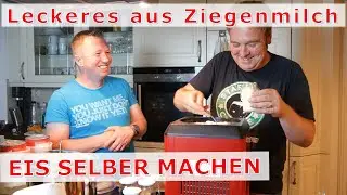 Ziegenmilch verarbeiten: Milcheis selber machen