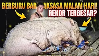 MUKBANG AGAIN, DELICIOUS MEAT!!!! IN THE FOREST OF KALIMANTAN!!!