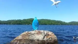 Plastic Virgin Mary Redüx