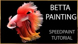 Betta Speedpaint