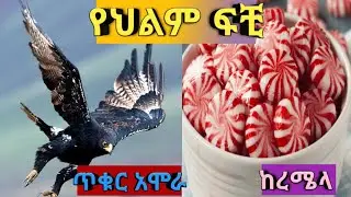 dream interpretation (የህልም ፍቺ)በ