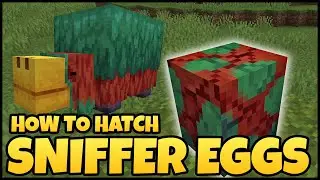 How To Hatch SNIFFER EGGS In MINECRAFT