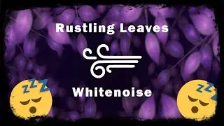 Rustling Leaves White Noise: Calming Wind Sounds for Relaxation and Sleep