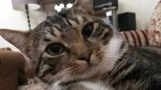 Live test