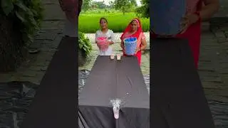 Super Family Ball Roll #shorts