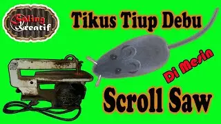 Tikus Tiup Debu di Mesin Scroll Saw