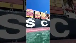 Learn import export