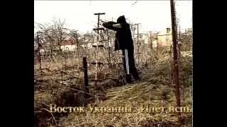 Испытание виноградника  на морозоустойчивость.2013 г