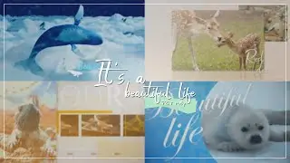 It's a Beautiful Life | FULL 7hr MEP!