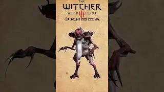WItcher 3. Экимма (бестиарий #shorts)