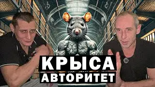 Tolya Soloma/Vasya Krupa's story about Izyaslovskaya Krytaya, a seasoned rat.