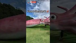 Found Giant Squid 🦑 On Google Earth 