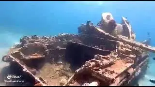 Diving in Red Sea Aqaba, Jordan
