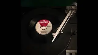 Metin Altın Orkestrası - Elveda Meyhaneci