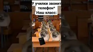 #чундра