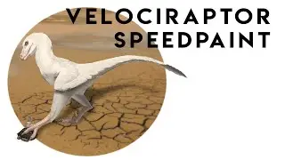 Veloceraptor (albino) speedpaint