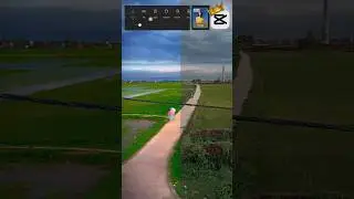 CapCut Color Grading Tutorial: Transform Your Videos with Pro Techniques (2024) #shortvideo #shorts